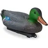 Image de Relaxdays Canard en Plastique, nageant, résistant aux intempéries, Figurine pour l’étang, Le Jardin, Multicolore