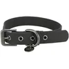 Image de Trixie Collier pour Chien CityStyle L - Tour de Cou 45-52 cm/25 mm - Noir - Collier en PVC de qualité supérieure pour Grands Chiens - Réglable - Imperméable et Facile à Nettoyer - 1971701