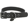 Image de Trixie Collier pour Chien CityStyle L-XL : Tour de Cou 50-57 cm/30 mm Noir - Collier PVC de qualité pour Grands   très Grands Chiens, réglable, imperméable & essuyable