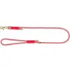 Image de Trixie Sangle Ø 10 mm Rouge