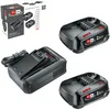 Image de Bosch batterie et chargeur rapide Starter Set 18V (2 batteries Lithium-Ion 2,5 Ah ; 1 chargeur rapide ; alliance POWER FOR ALL 18V)