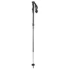 Image de Salewa Carbonium Alp Speed Poles