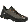 Image de Salewa ALP Trainer 2 GTX M, 44, Bungee Cord/Black