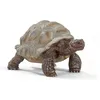 Image de Schleich Wild Life | Tortue Géante 14824 | Figurines animales détaillées | Jouet de Zoo | Superbe Cadeau pour Filles et garçons | décoration d’Anniversaire | Figurine dès 3 Ans | 8 x 4 x 4 cm