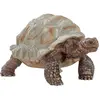Image de Schleich Tortue Géante Sauvage