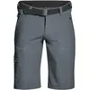 Image de Maier Sports Nil Bermuda, Pantalon Court de randonnée pour Homme, Bermuda déperlant pour Le Trekking et la randonnée, sans PFC, MSTRETCH Pro 4 et Dryprotec