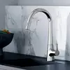 Image de Hansa Designo Style Mitigeur de cuisine, pivotant, 51362283,