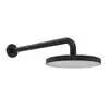 Image de Hansa Basicjet Douche de tête, 1 jet, 4436010033,