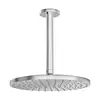 Image de Hansa Viva Douche de tête, 1 jet, 44270200,