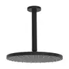 Image de Hansa Viva Douche de tête, 1 jet, 4427020033,