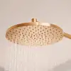 Image de Hansa Viva Douche de tête, 1 jet, 4426020081,