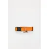 Image de Alpha Industries Basic Dog-Tag Collar Alpha Orange