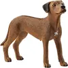Image de Schleich Monde De La Ferme Rhodesian Ridgeback