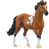 Image de Schleich 13978 Étalon Mangalarga marchador, dès 5 Ans, Horse Club - Figurine, 4 x 18 x 11 cm