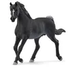 Image de Schleich Horse Club | Étalon Arabe 13981 | Cheval détaillé | Cadeau pour Filles et garçons | Figurine décorative et de Collection | Jouet Cheval dès 5 Ans | 5 x 15 x 10 cm