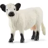 Image de Schleich 13960 Vache Galloway, dès 3 Ans, Farm World - Figurine, 4 x 13 x 9 cm
