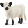 Image de Schleich Figure Galloway Cow 13960