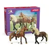 Image de Schleich 42738 Horse Club Paso Peruano Set de démarrage, dès 5 Ans, Horse Club - Figurine, 7 x 15 x 11 cm