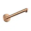 Image de AXOR ShowerSolutions Bras de douche, 26431300,