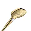 Image de hansgrohe Raindance Select E Douchette, 3 jets, 26520990,