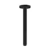 Image de hansgrohe Universal Bras de douche, 27389670,