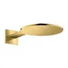 Image de AXOR ShowerSolutions Douche de tête, 1 jet, 35300990,