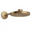 Image de AXOR One Douche de tête, 2 jets, 48492140,