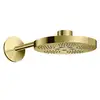 Image de AXOR One Douche de tête, 2 jets, 48492990,