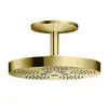 Image de AXOR One Douche de tête, 2 jets, 48494990,