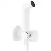 Image de hansgrohe Bidette Robinetterie de bidet, 29232700,