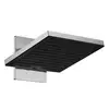 Image de hansgrohe Pulsify Douche de tête, 2 jets, 24350000,