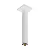 Image de hansgrohe Universal Bras de douche, 24339700,