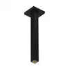 Image de hansgrohe Universal Bras de douche, 24339670,