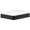 Image de AXOR AXOR 42803670 Porte-savon carré universel Noir mat