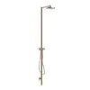 Image de AXOR Starck Nature Colonne de douche en applique avec mitigeur monocommande, 12670300,