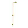 Image de AXOR Starck Nature Colonne de douche en applique, Mitigeur monocommande, 12671250,