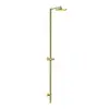 Image de AXOR Starck Nature Colonne de douche en applique, Mitigeur monocommande, 12671990,