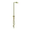 Image de AXOR Starck Nature Colonne de douche en applique avec mitigeur thermostatique, 12672990,