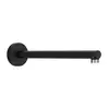 Image de hansgrohe Pulsify Bras de douche, 24357670,