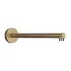 Image de hansgrohe Pulsify Bras de douche, 24357140,
