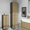 Image de hansgrohe Xevolos E Colonne, 2 portes, 54223390,