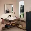 Image de hansgrohe Xanuia Q Vasque à poser, 60249450,