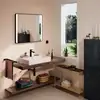 Image de hansgrohe Xanuia Q Vasque à poser, 60252450,