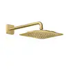 Image de AXOR Citterio C Douche de tête, 1 jet, 28790990,