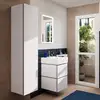 Image de hansgrohe Xilesa E Colonne, 54287700,