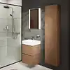 Image de hansgrohe Xilesa E Colonne, 54286550,