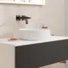 Image de hansgrohe Xuniva Evo S Vasque à poser, 63005450,