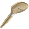 Image de hansgrohe Raindance Select E Douchette, 3 jets, 28729140,
