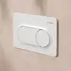 Image de hansgrohe iFrame Original S Plaque de déclenchement pour WC, 66002700,