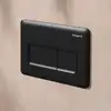 Image de hansgrohe iFrame Original Q Plaque de déclenchement pour WC, 66001670,